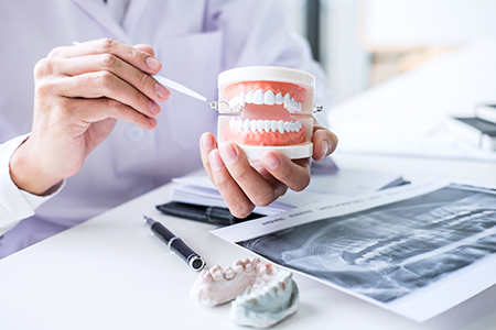 The image shows a dental professional holding up a tooth model with a magnifying glass, examining it closely while seated at a desk with various dental-related items.